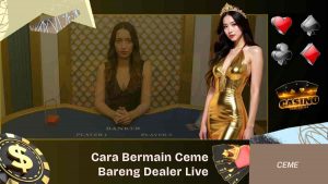 Cara Bermain Ceme Bareng Dealer Live